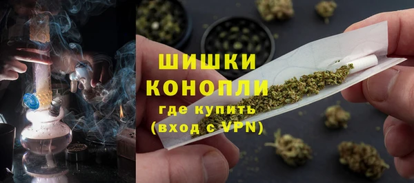 ГАЛЛЮЦИНОГЕННЫЕ ГРИБЫ Алексин