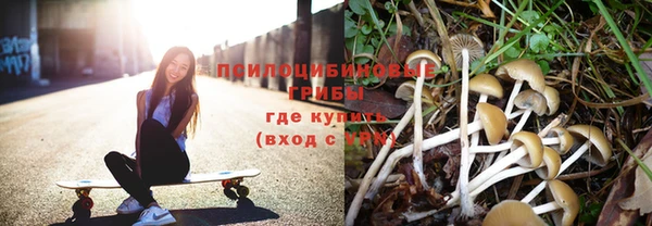 метамфетамин Козловка
