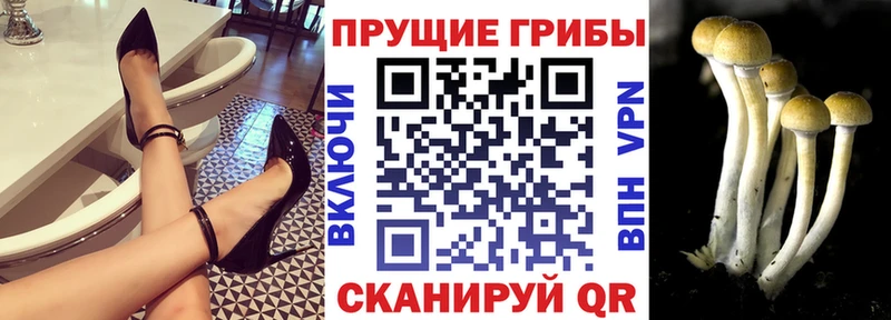 Галлюциногенные грибы GOLDEN TEACHER  Сухиничи 